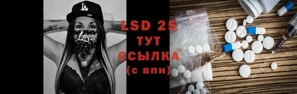 винт Алзамай