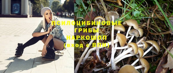 ПСИЛОЦИБИНОВЫЕ ГРИБЫ Алексин