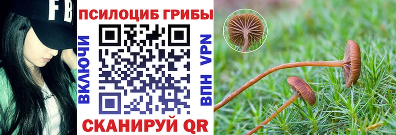 omg сайт  Гаврилов Посад  дарк нет наркотические препараты  цена наркотик  Галлюциногенные грибы MAGIC MUSHROOMS 